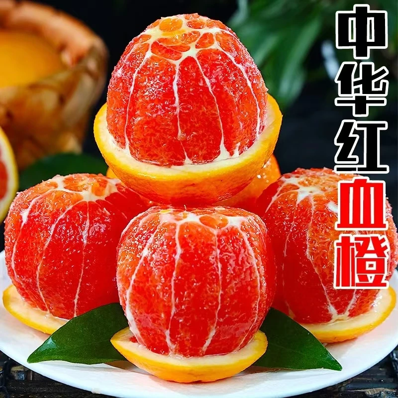 秭归中华红橙新鲜橙子产地直发