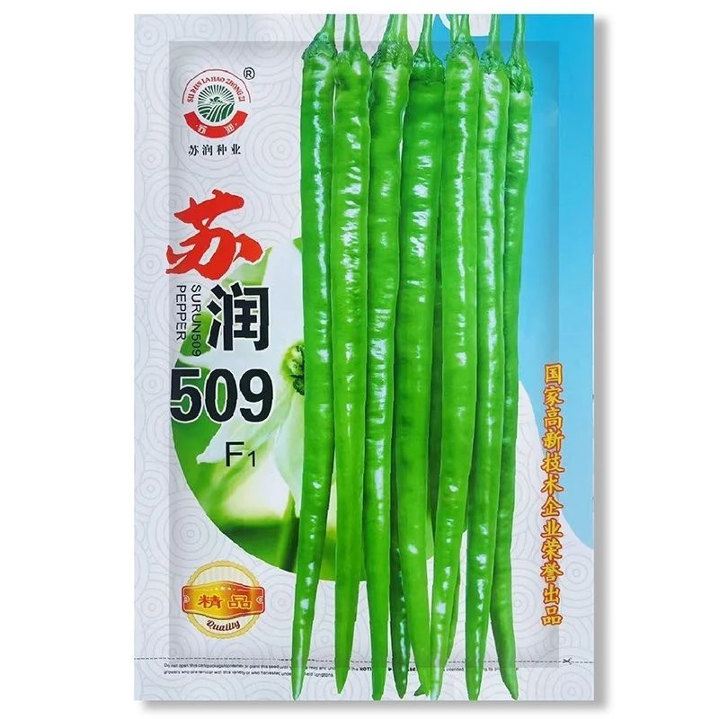 苏润509辣椒种子线椒种子春秋种植商品性好中早熟高产