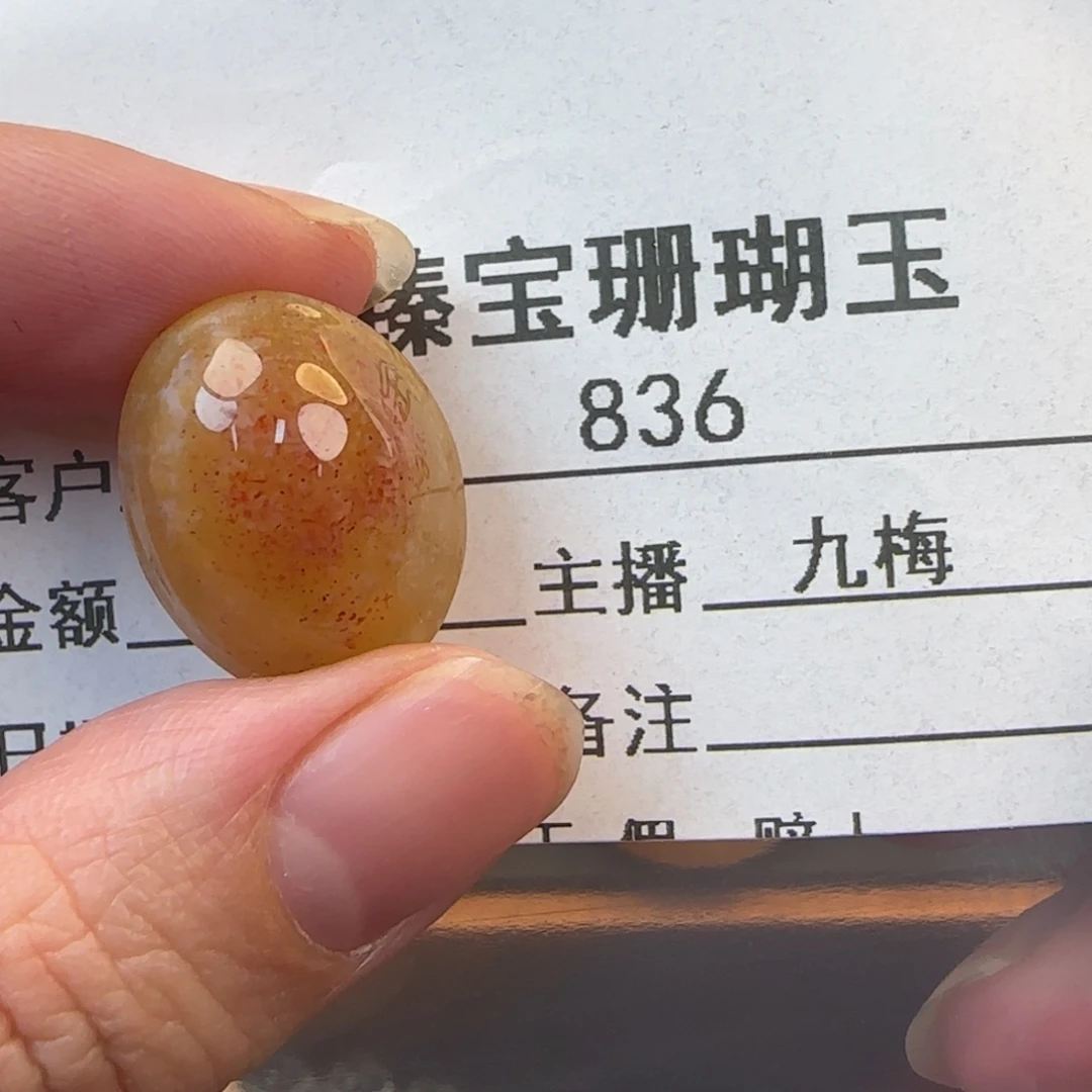 硅化珊瑚（珊瑚玉）未镶嵌颈饰