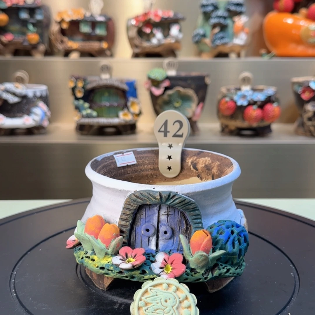 42 【闪购】多肉花盆