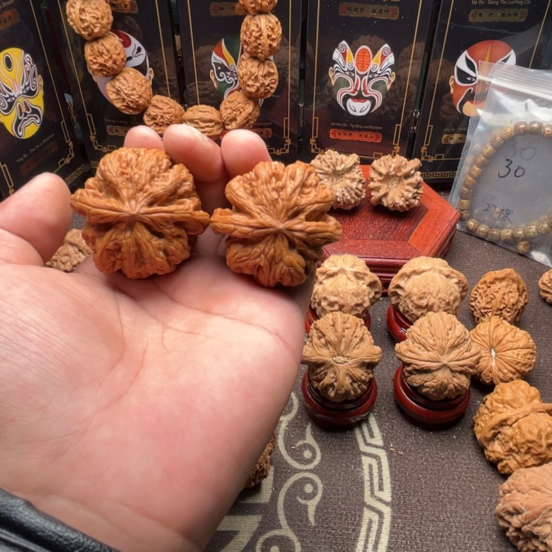 蟒***.核桃粗筋111111111111