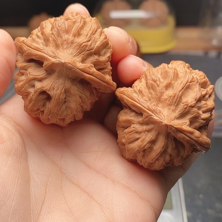 文玩核桃龙脉元宝40边尖有磕碰