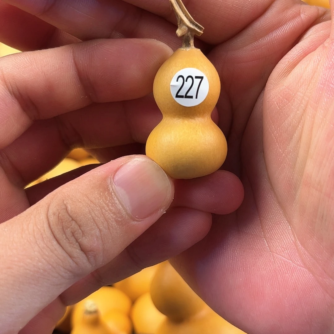 一葫芦葫芦葫芦葫芦227