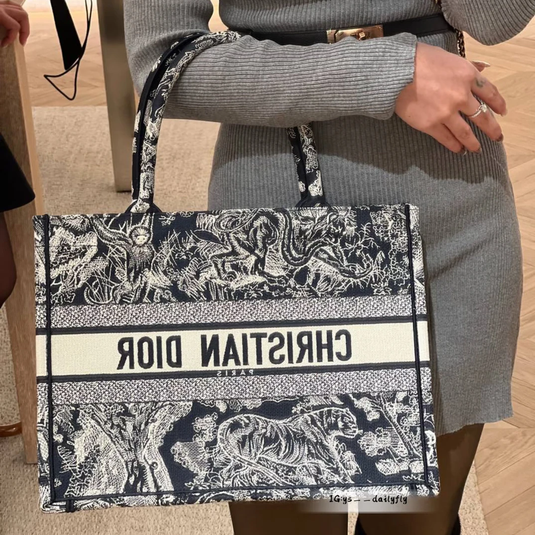 95新 DIOR/迪奥 托特中号手提包/0507