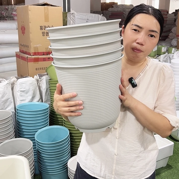 高陶口27高27灰白色无托5只