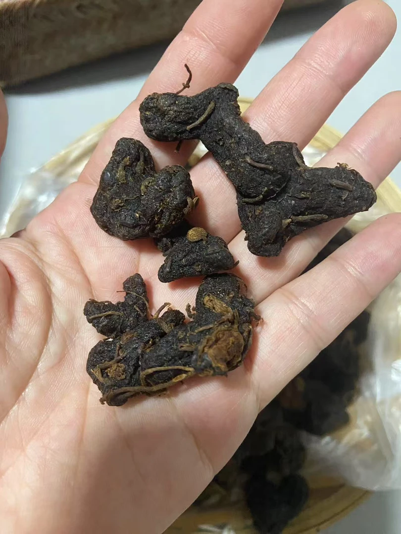 【小王推荐】临时链接专人专拍红菇仙人余粮肺型草直播间现场改进