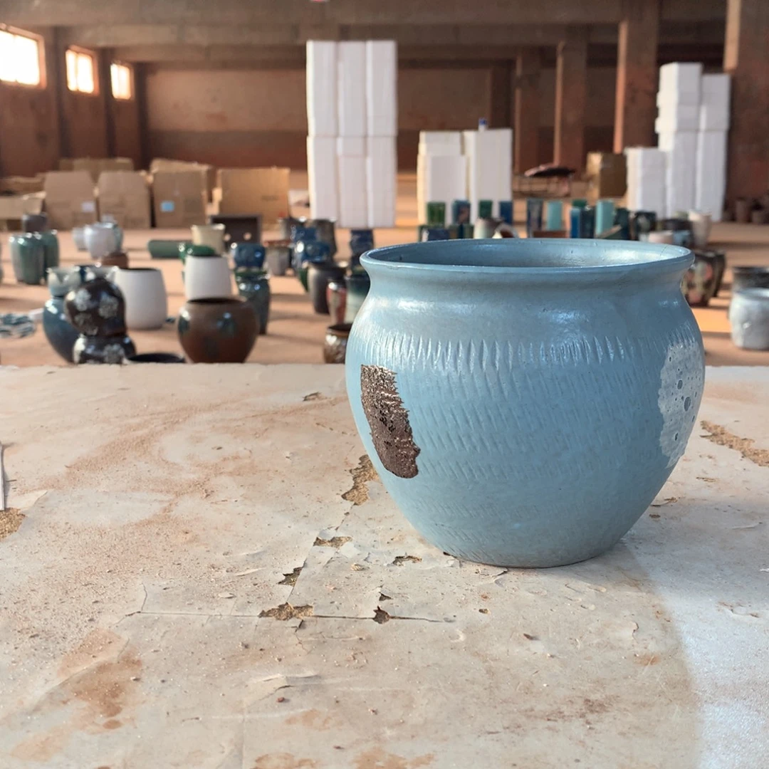 花盆看啦啦啦啦啦啦啦