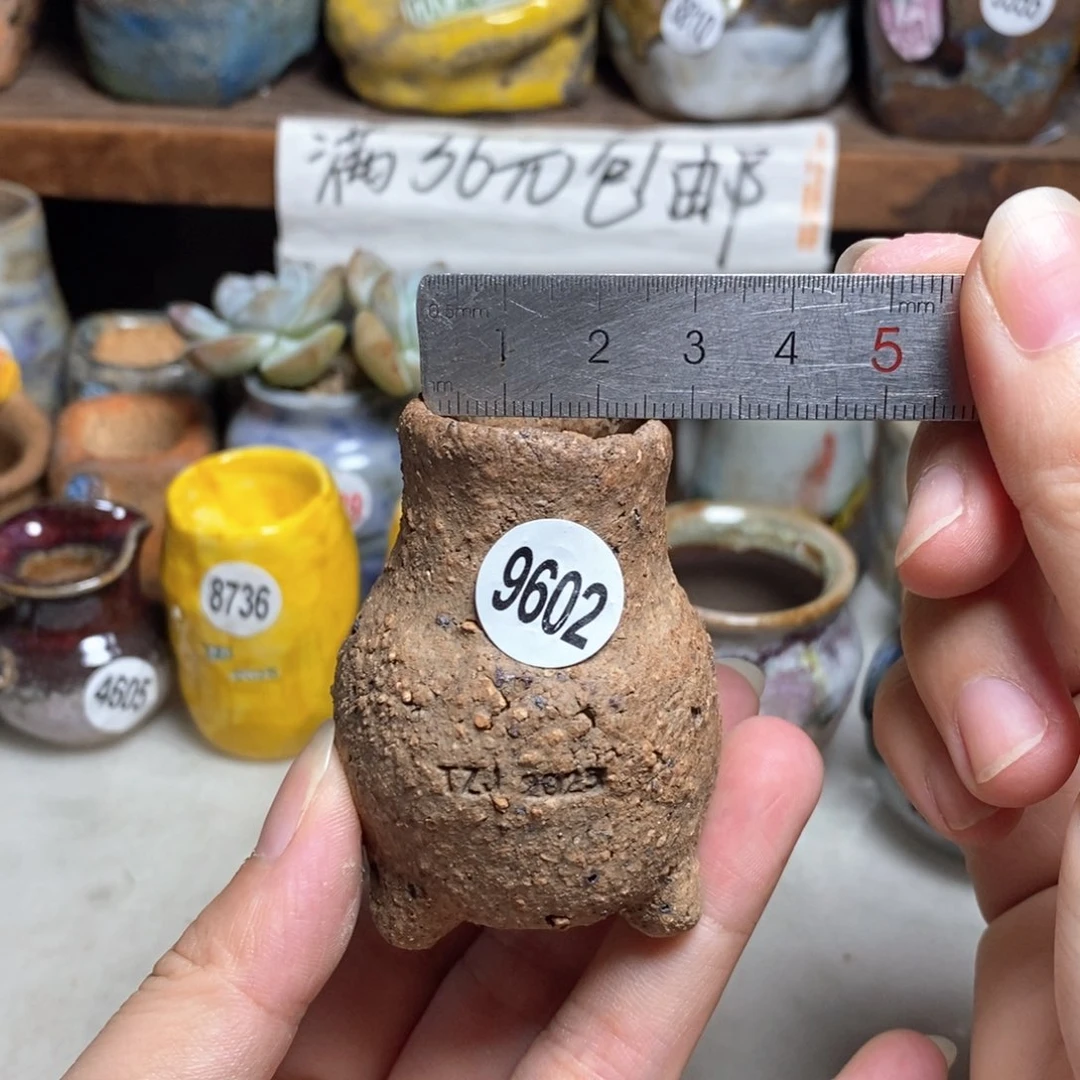 拍5送一个小礼物