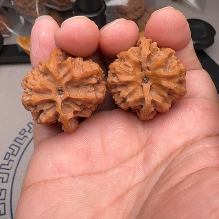 把件桃核山地苹果园34