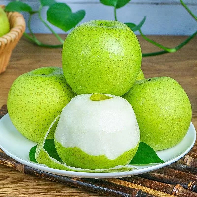 正宗砀山青梨新鲜水果脆甜多汁爽口无渣梨子头茬果现摘现发