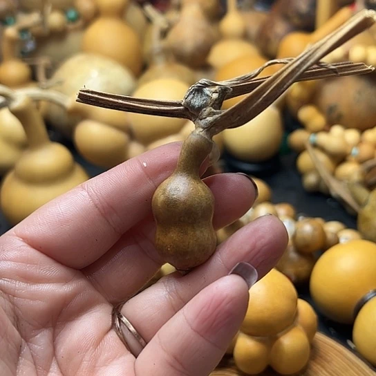 海*葫芦葫芦葫芦葫芦