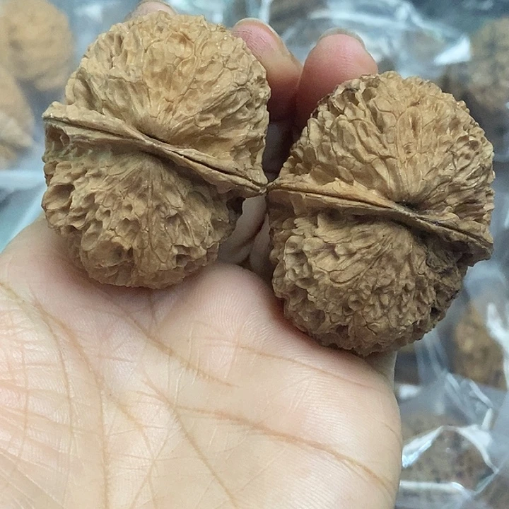 木质类云南铁核桃基地57