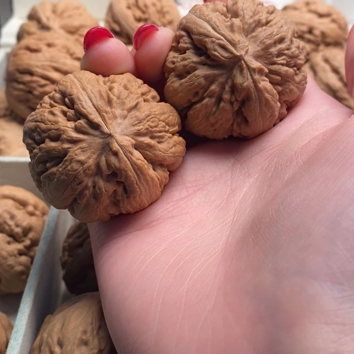 R***金霸王龙全品无修一刀没动