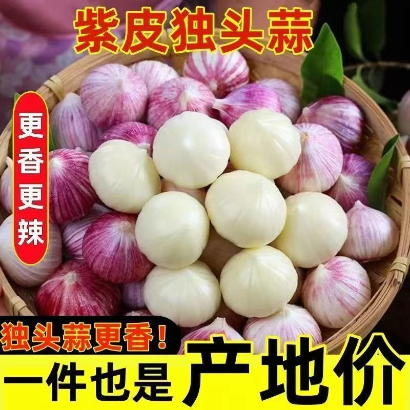【产地直发新鲜独蒜】2025紫皮独头蒜大头蒜新蒜湿蒜新鲜蔬菜调味