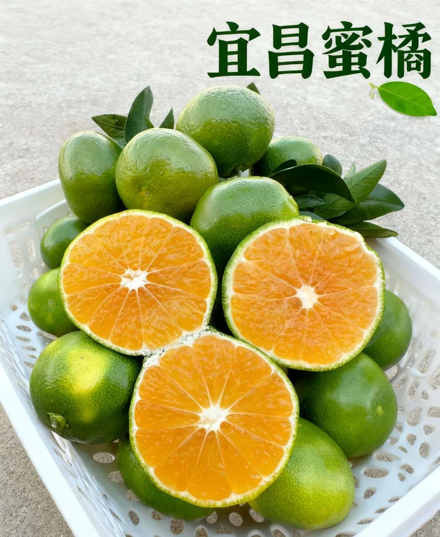 新鲜蜜桔现摘现发湖北宜昌应季水果青皮无籽蜜桔孕妇水果酸甜可口