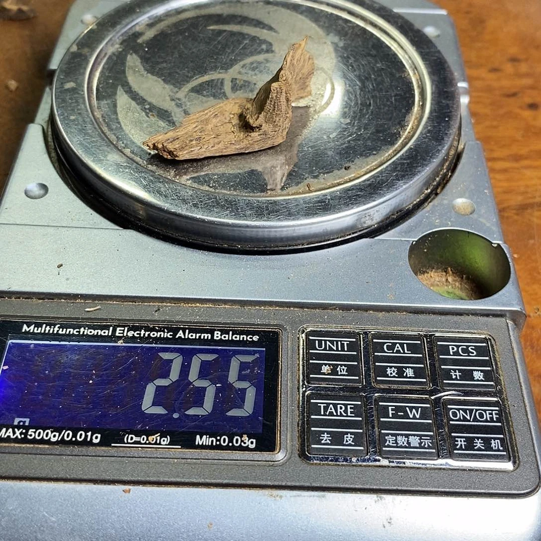 菩萨黑油吐沉料一块（福利1116014