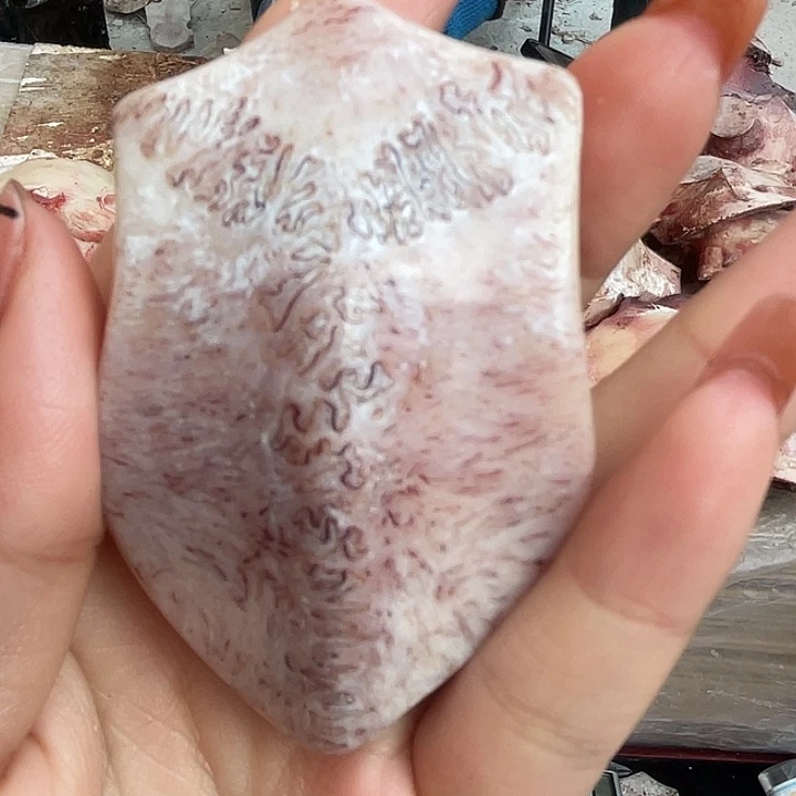 养殖鹿骨三界牌子