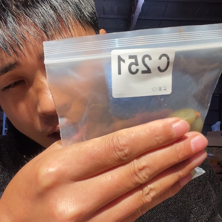 大叶紫檀（黑酸枝木类）251