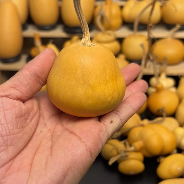 淘*淘15656666969999999