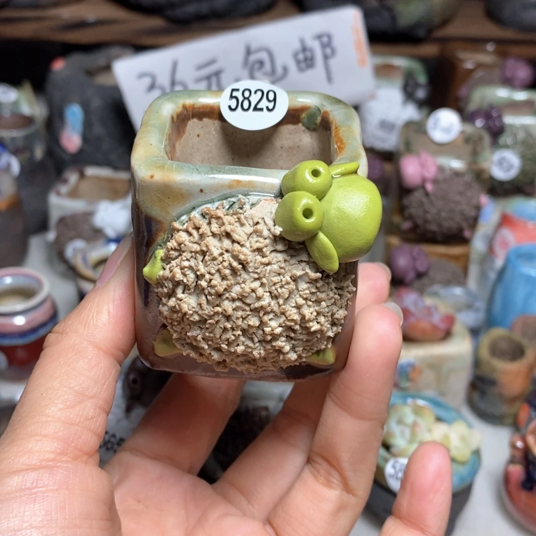 拍3送一个小礼物