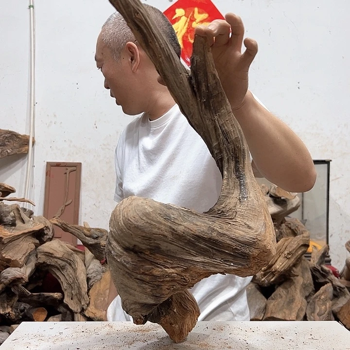 柏木绿**殖我们的生活也是如此的