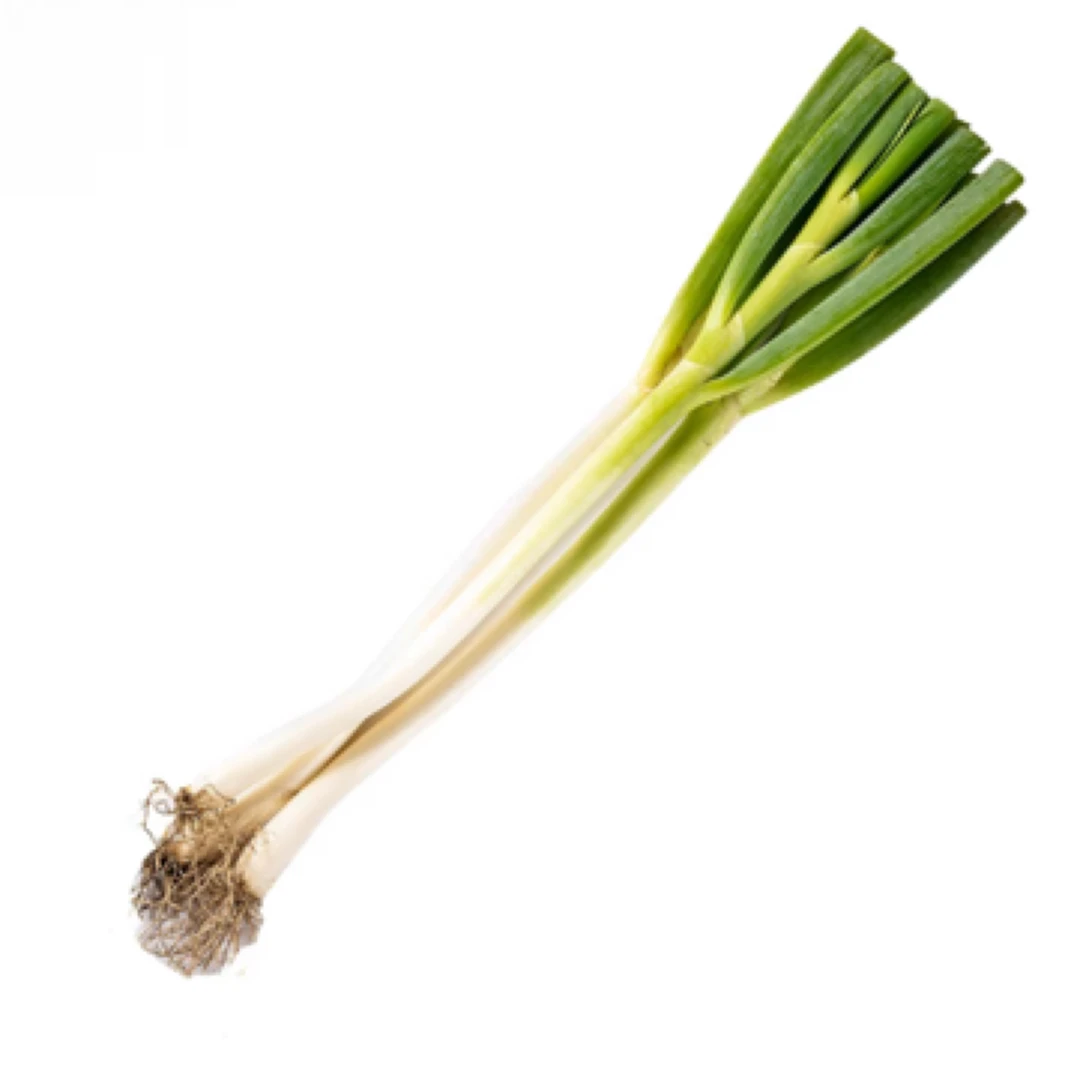 大葱 约200g/根（）大葱