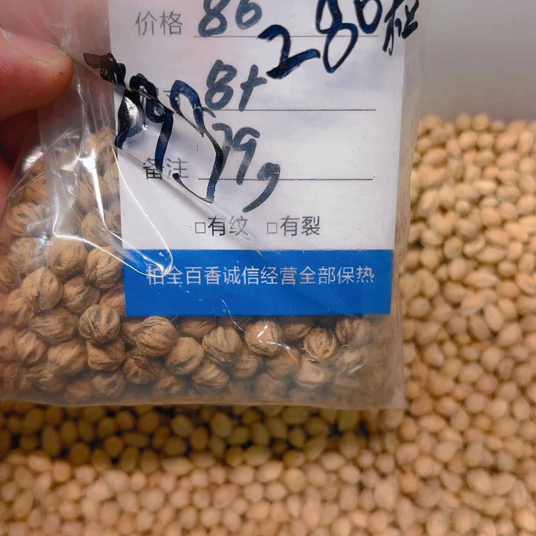 过**旧柏香籽散子 79 克散子
