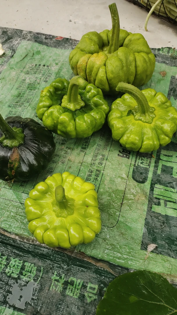 农村赶集新鲜云南瓜