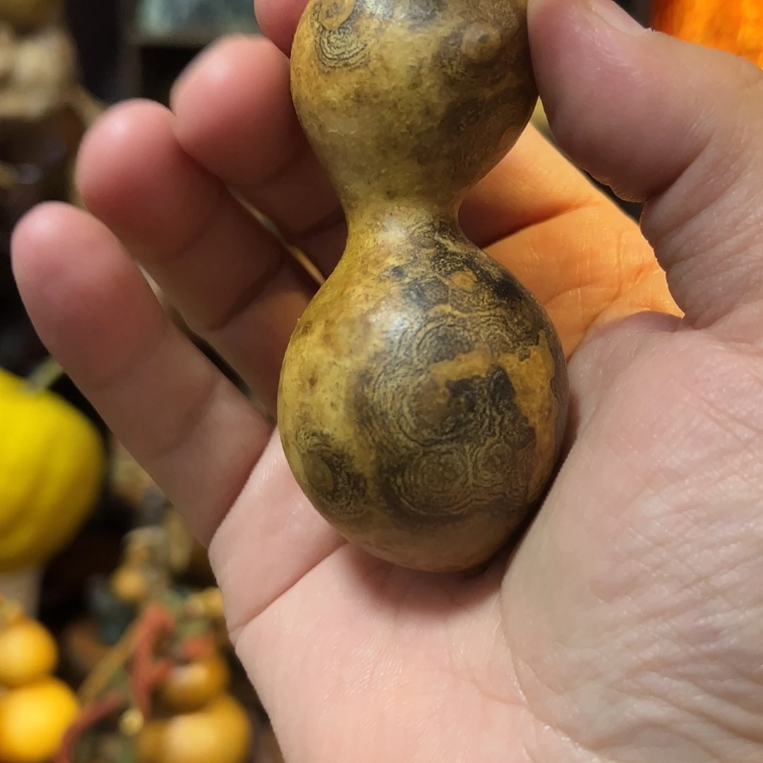 向***。大叶紫檀（黑酸枝木类）