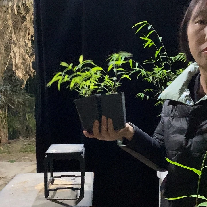 完全开放内门竹内门竹内门竹