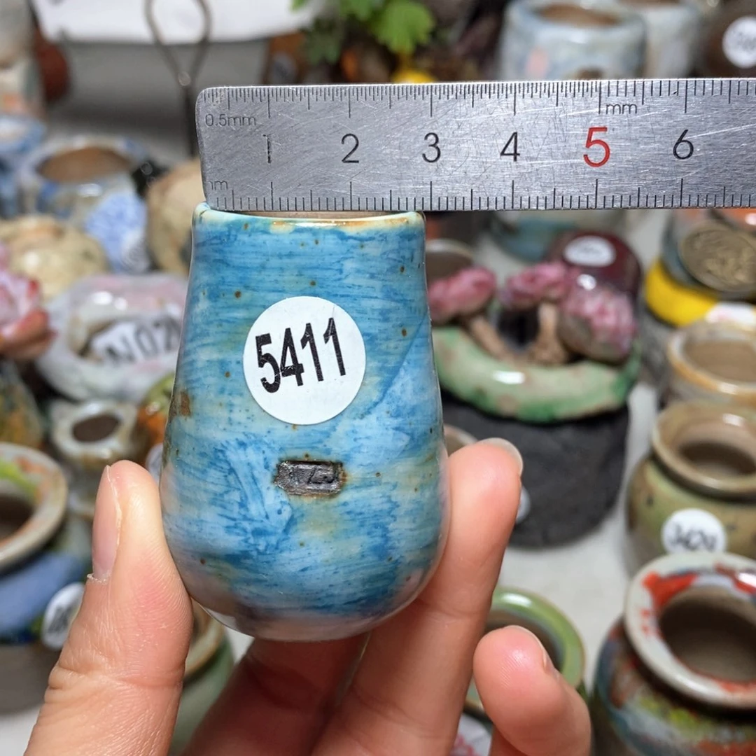 花盆拍5送一个小礼物