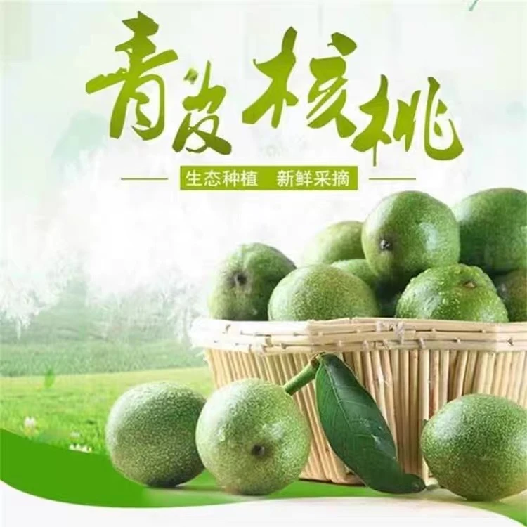 甘肃庆阳【新鲜青皮核桃】5斤 绿皮核桃现摘现发