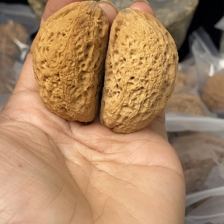 把件文玩核桃云南铁核桃基地104