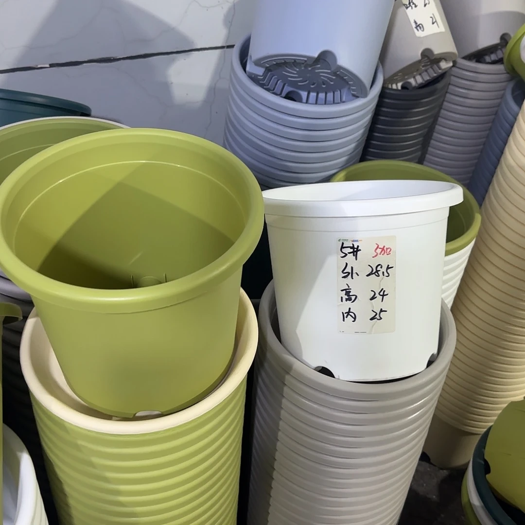 微瑕5号6个无托，白色