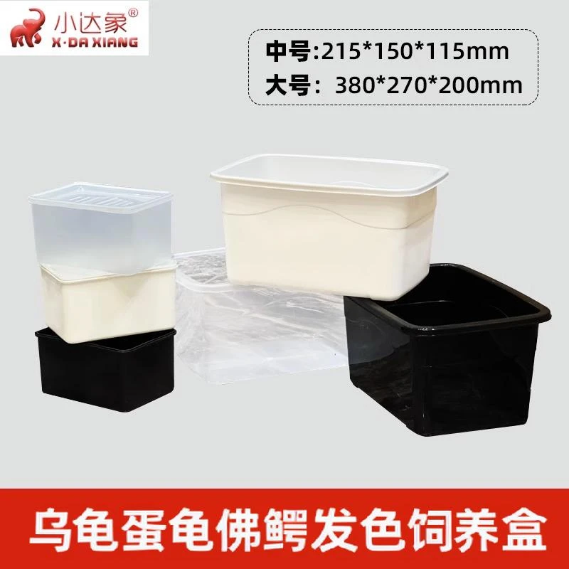 白色观背佛鳄黑色发色养龟苗孵化隔离龟苗饲养盒