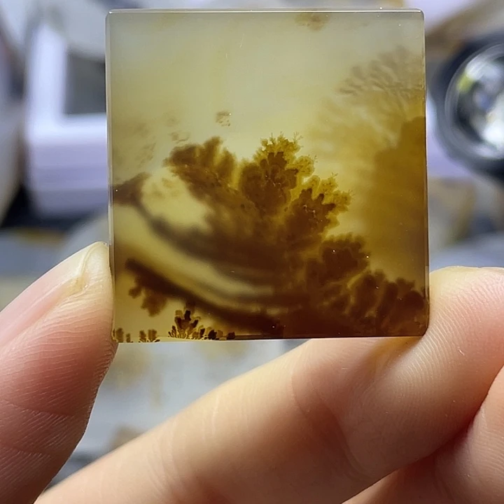 未镶嵌颈饰玛瑙/玉髓