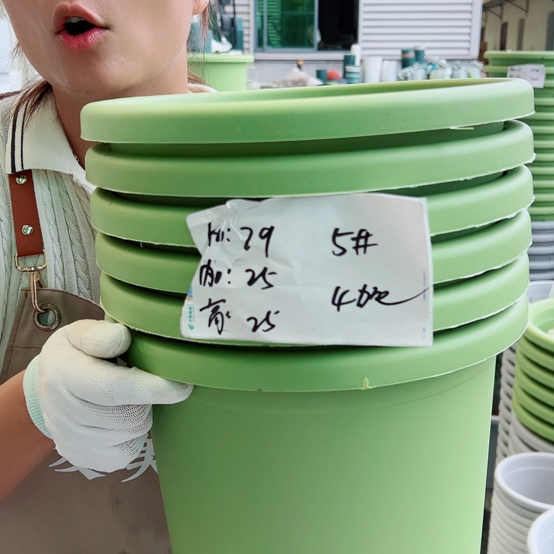 四季盆5#果绿色6个无托