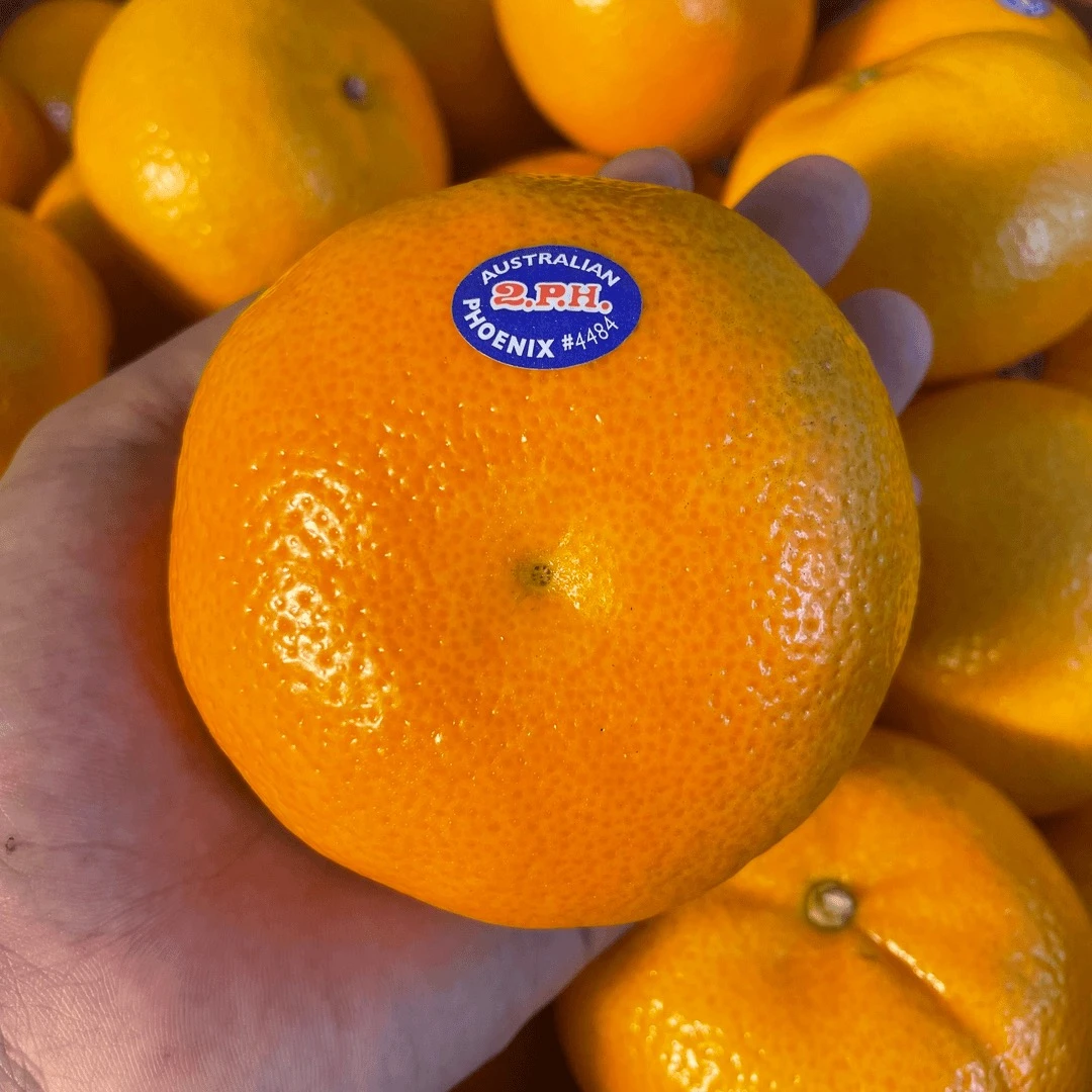 当季限定澳洲进口2PH澳柑3/5斤装 【京东】