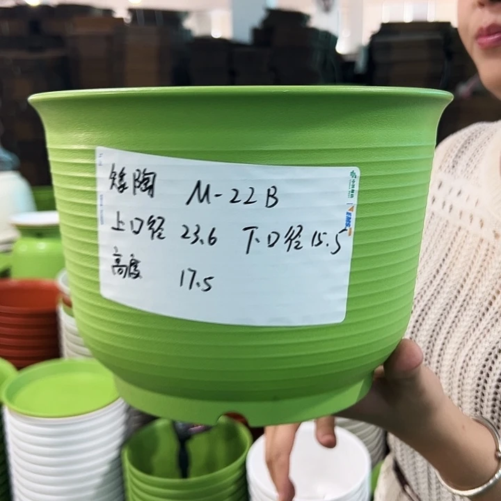 正品矮陶口24高17果绿无托6只