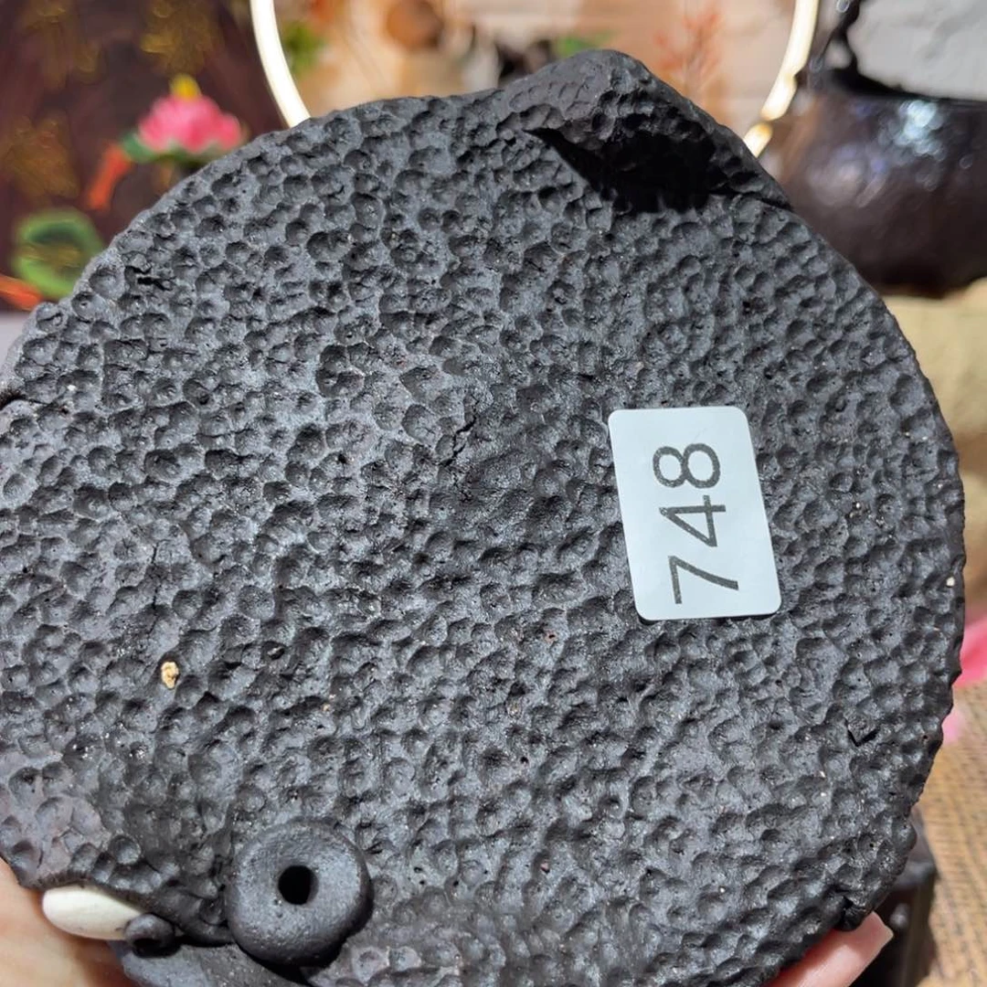 木村信弘柴烧保平