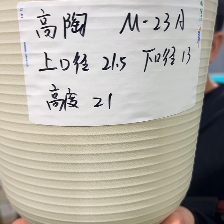 正品高陶口21高21果绿色6个无托