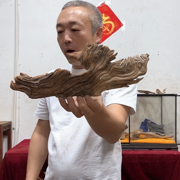 柏木佐*尔我们都是好孩子呀我也是