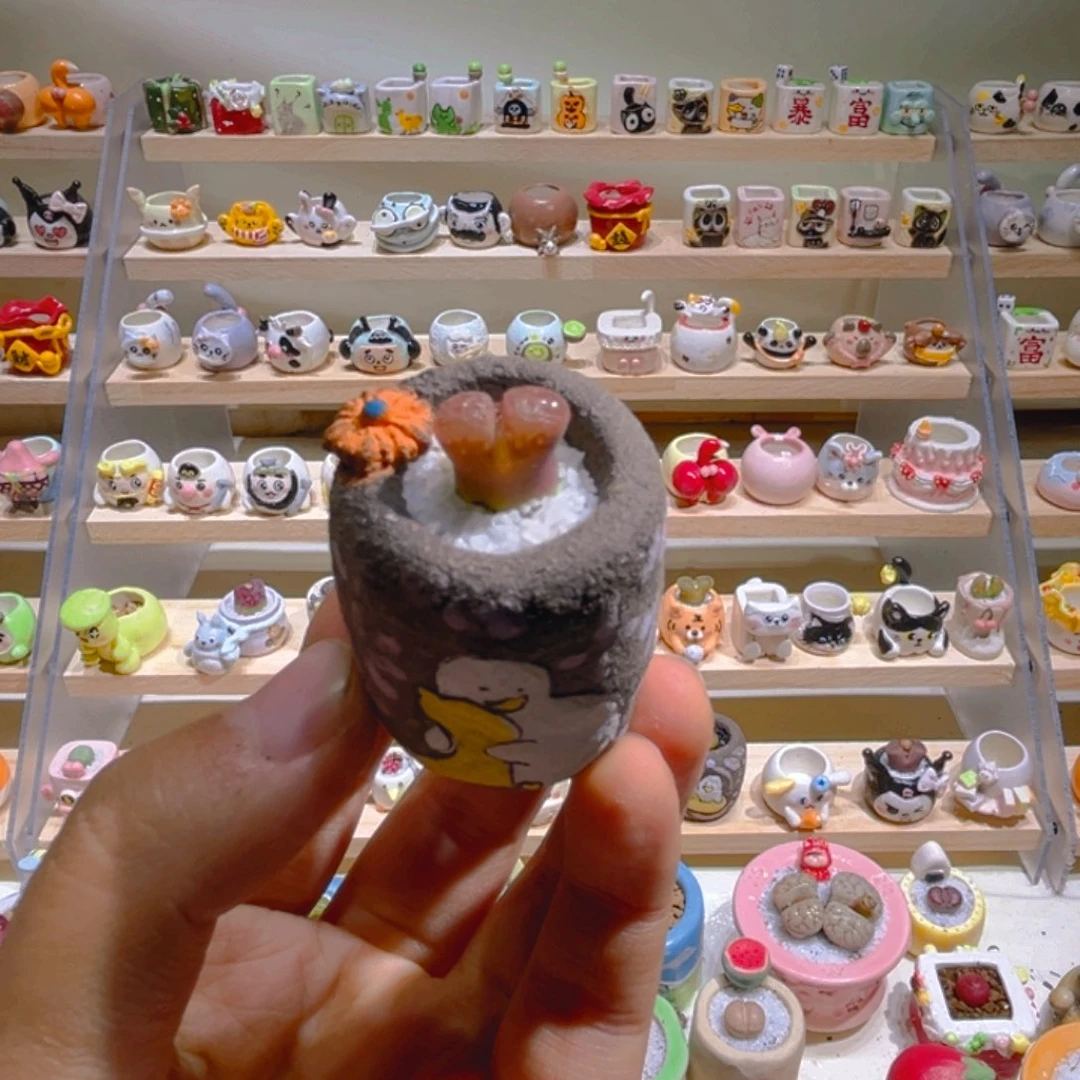 015风铃带盆土一套20