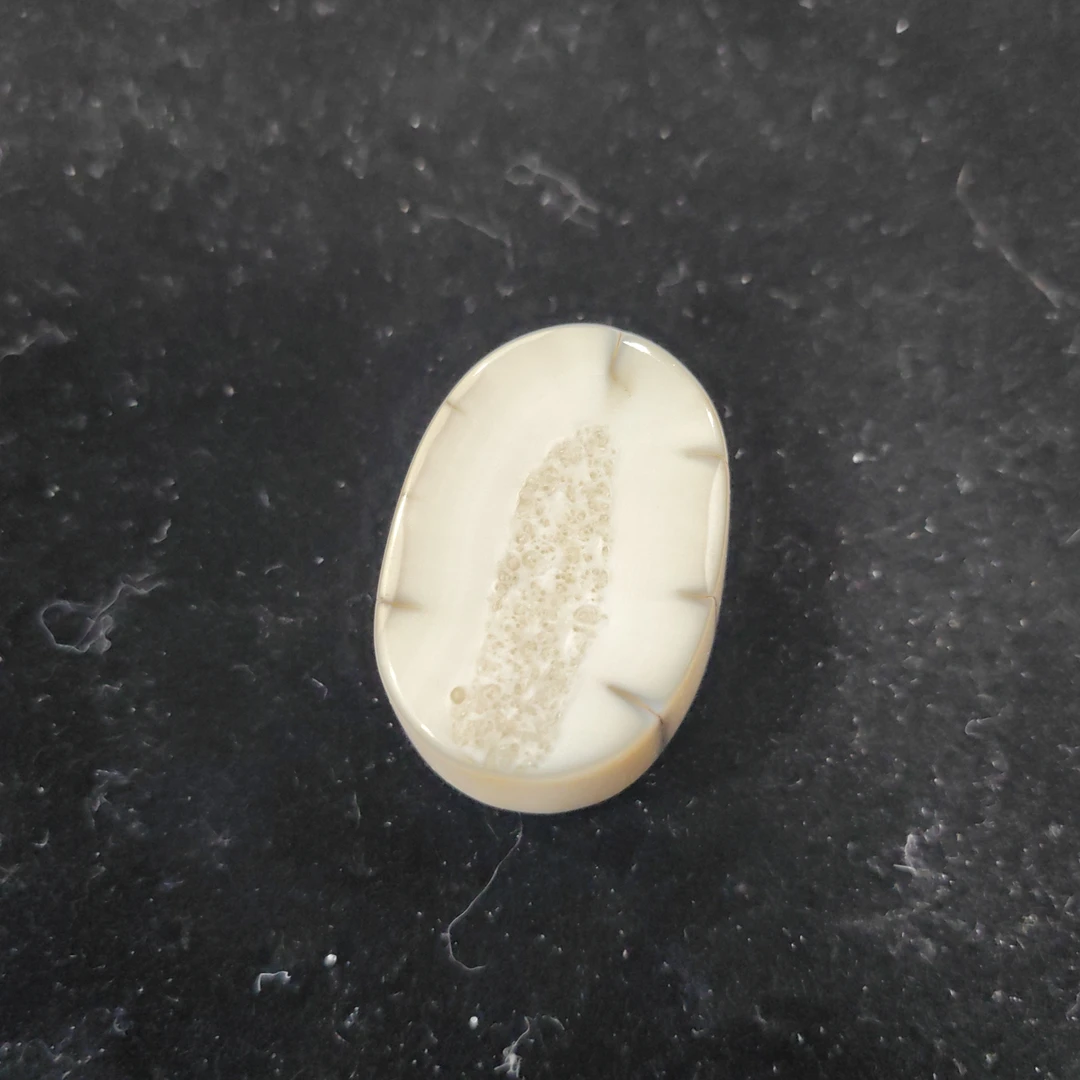 猛犸猛犸虬饼子WT602