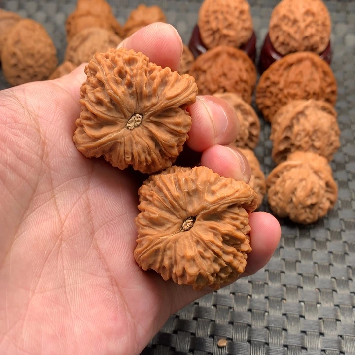 深**紫南疆石狮子头文玩核桃