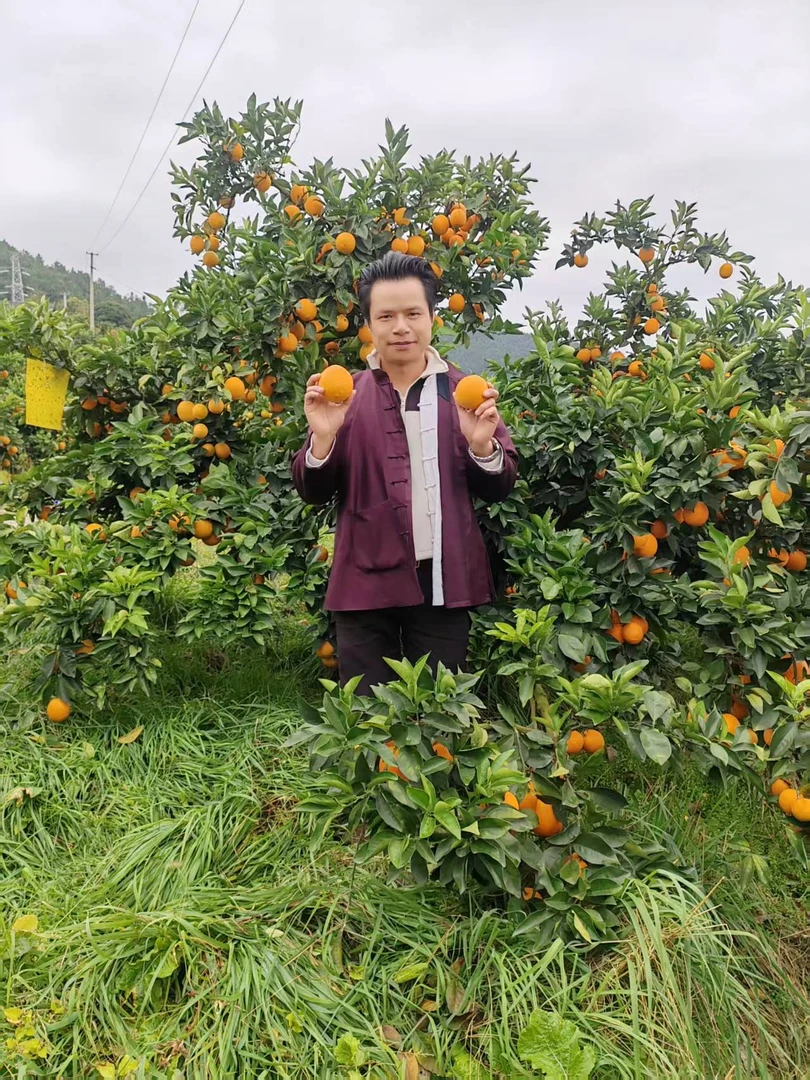 贵州正宗榕江高山脐橙新鲜应季鲜甜多汁水果