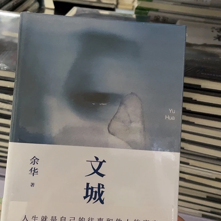 文城   精装带塑封