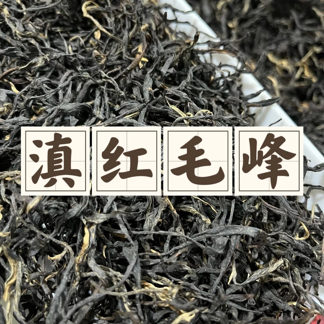 云南高山高海拔种植滇红毛峰茶叶