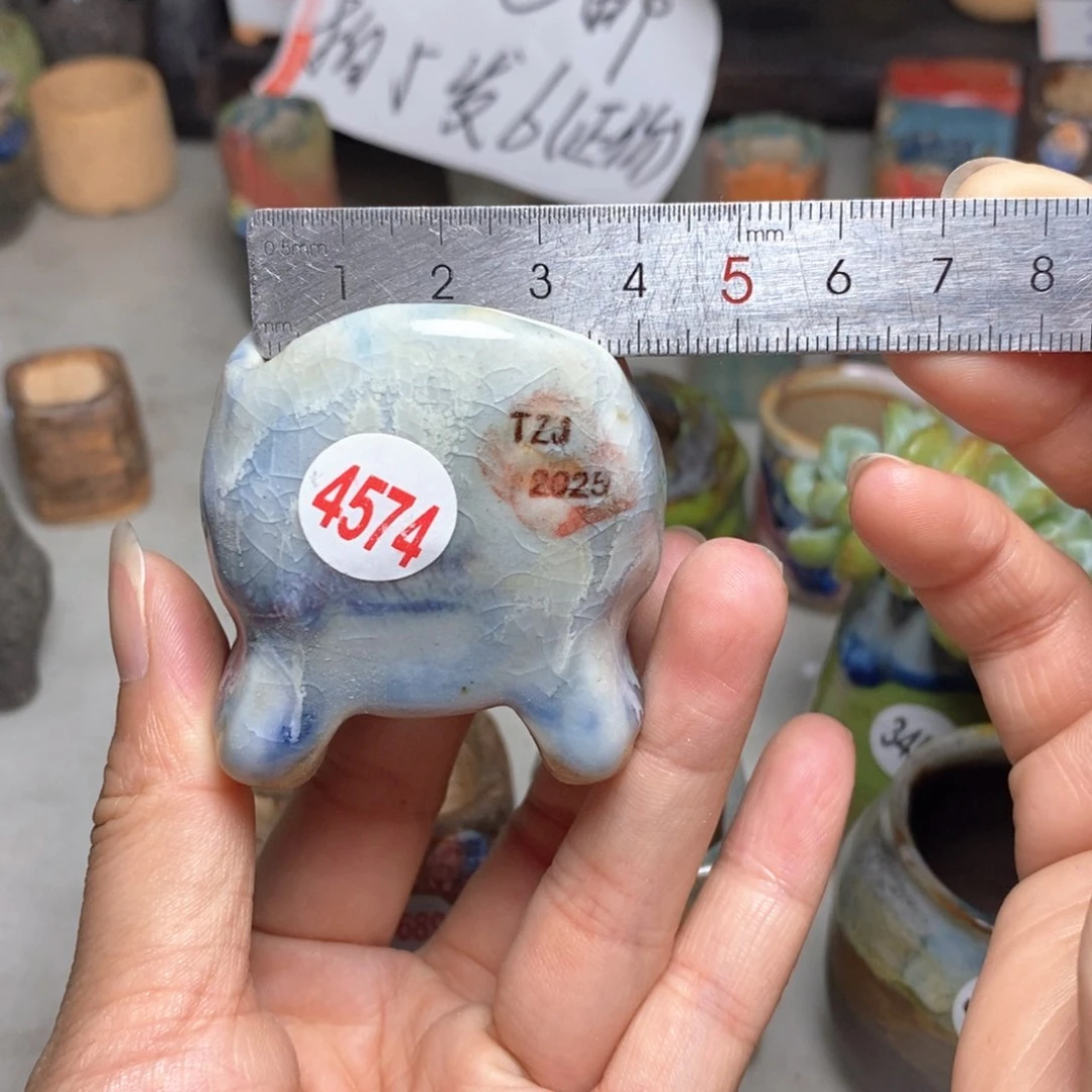 拍5送一个小礼物