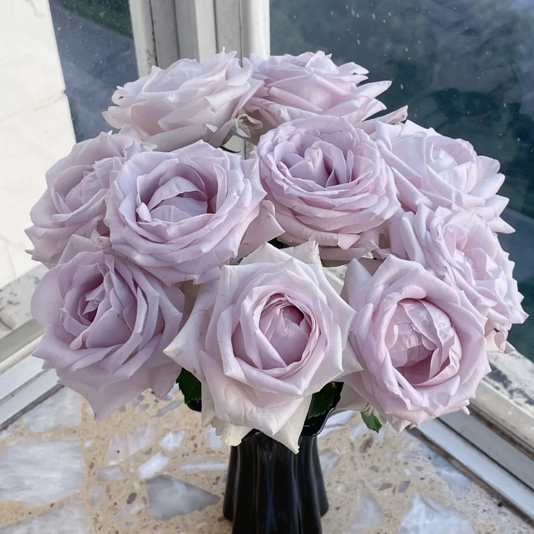 七叶花坊# 【安妮】鲜花优选 顺丰直发